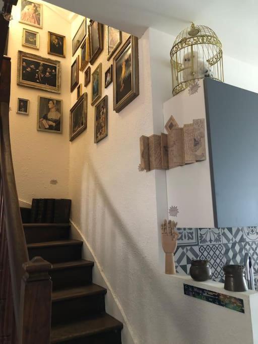 Maison Harry Potter Pour 6 Personnes En Centre Ville Montauban Exteriör bild