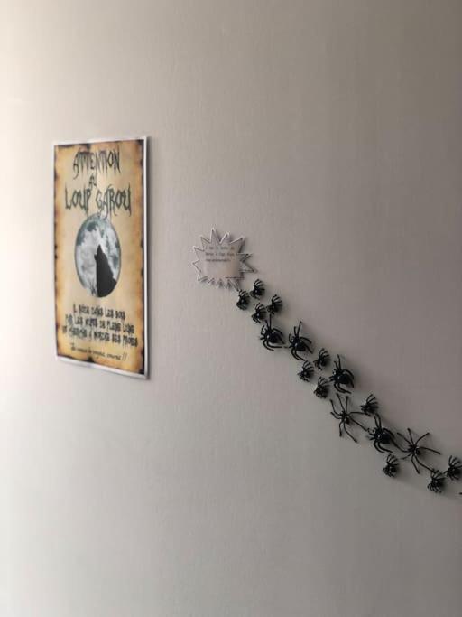 Maison Harry Potter Pour 6 Personnes En Centre Ville Montauban Exteriör bild