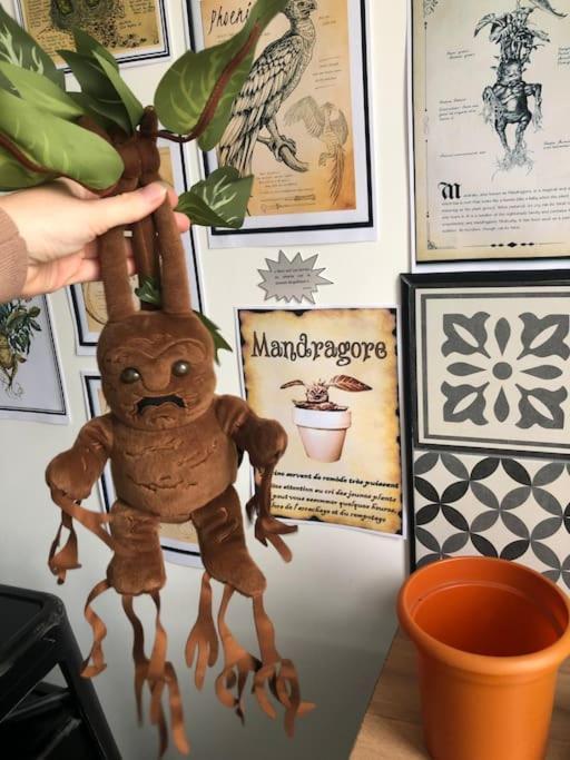 Maison Harry Potter Pour 6 Personnes En Centre Ville Montauban Exteriör bild